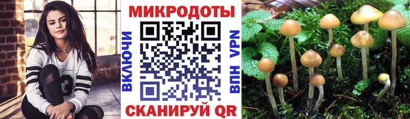 Галлюциногенные грибы Psilocybine cubensis  наркошоп  Клинцы 