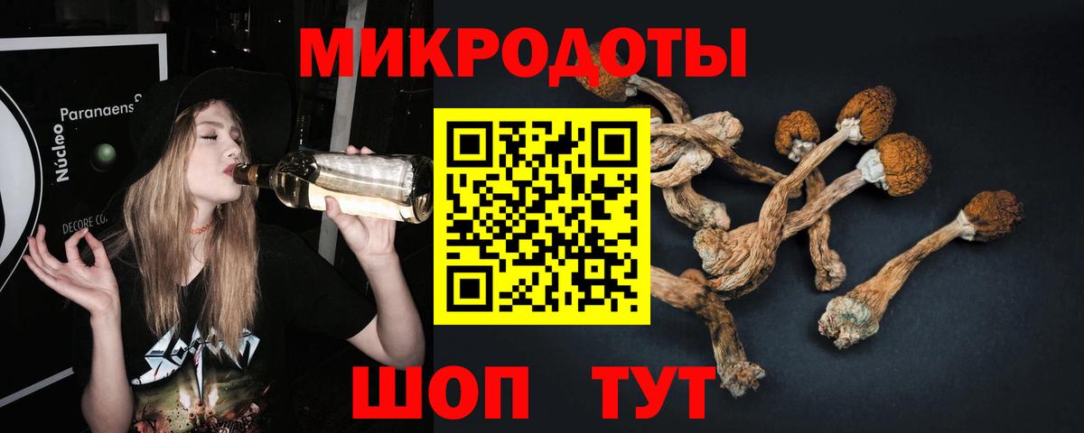 Галлюциногенные грибы Cubensis  Галлюциногенные грибы Psilocybe  Вход с VPN  Клинцы 