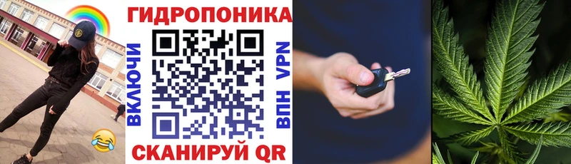 купить наркоту  Клинцы  kraken ССЫЛКА  Бошки Шишки план 